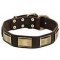 Impressive Design Leather German Shepherd Collar with Brass Plates