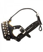 Padded leather German Shepherd muzzle with pyramids and studs