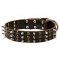 Leather German Shepherd Collar with studs and spikes