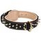 Hand-Decorated Leather German Shepherd Collar with Brass Spikes