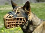 Leather German Shepherd Basket Muzzle