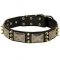 Fabulous War Leather German Shepherd Collar