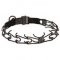 Black Stainless Steel German Shepherd Pinch Prong Collar with Click Lock Buckle