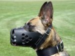 Military German Shepherd Muzzle for Training