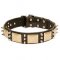 Extraordinary Design Leather German Shepherd Collar with Plates and Spikes