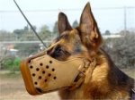 High Quality Leather German Shepherd Muzzle for Agitation Training