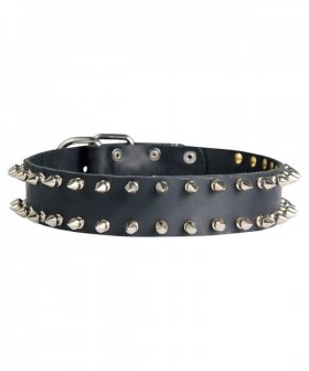 Leather Spiked Dog Collar for German Shepherd