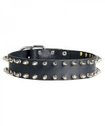Leather Spiked Dog Collar for German Shepherd