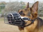 German Shepherd basket wire full padded dog muzzle