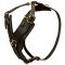 Leather German Shepherd Harness for Walking and Training