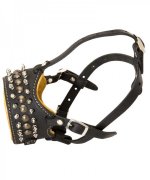 Padded leather dog muzzle with spikes for German Shepherd