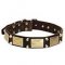 Superb Leather Collar for German Shepherd