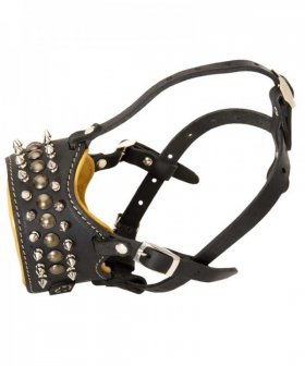 Padded leather dog muzzle with spikes for German Shepherd