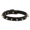 Designer Spiked Leather German Shepherd Collar