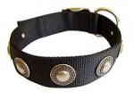 Stylish Nylon Dog Collar for German Shepherd