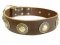 Classy Decorated Leather Collar with Nickel-plated Conchos