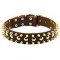 3 Rows Leather German Shepherd Collar with Nickel Studs and Brass Spikes
