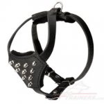 Small Spiked Leather German Shepherd Harness