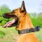 Royal Leather German Shepherd Collar for Walking