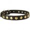 German Shepherd Leather Collar With Attractive Brass Circles