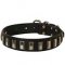 Impressive Leather German Shepherd Collar with Plates