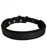 Best Padded Leather Dog Collar for German Shepherd