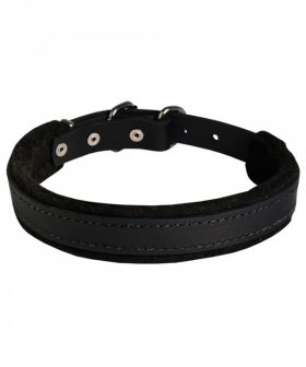 Best Padded Leather Dog Collar for German Shepherd