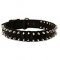 Black Nylon Spiked German Shepherd Collar