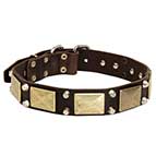 Superb Leather Collar for German Shepherd