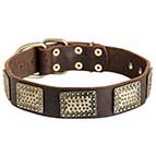 New Gorgeous War German Shepherd Leather Collar