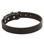 Reliable Leather German Shepherd Collar