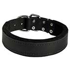 Padded Leather German Shepherd Dog Collar