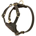 Puppy Leather German Shepherd Harness for Daily Use