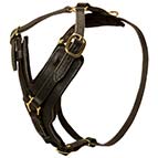 Leather German Shepherd Harness for Walking and Training
