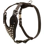 Leather German Shepherd Harness with Nickel Plated Pyramids