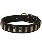 Impressive Leather German Shepherd Collar with Plates