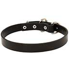Leather Collar for Energetic German Shepherd Dog