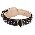 Superior Designed Leather German Shepherd Collar with Spikes
