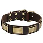 Impressive Design Leather German Shepherd Collar with Brass Plates