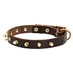 Spiked Leather Collar for Walking German Shepherd