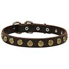 Leather German Shepherd collar with special dotted circles