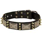 Fabulous War Leather German Shepherd Collar