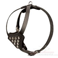 Decorated Leather Dog Harness for German Shepherd Puppies