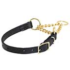 Martingale-dog-collar-of-leather-and-brass-MC5