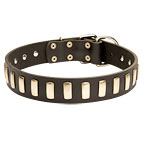 Wide Leather German Shepherd Collar with Special Plates