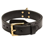 Premium Quality 2 Ply Leather German Shepherd Collar