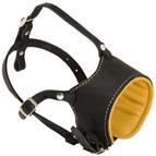 Newroyalleathermuzzle-3395