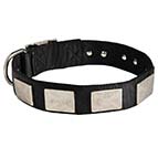Gorgeous War Dog Nylon Dog Collar for German Shepherd Breed