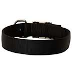 Nylon-dog-collar-all-weather-C40