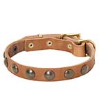 Studded Leather Dog Collar for German Shepherd Puppies